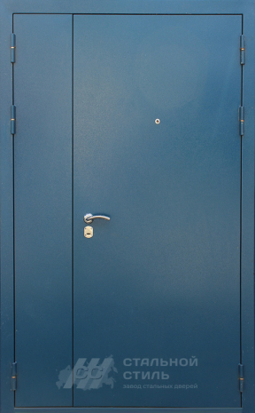 Дверь «Тамбурная дверь №11» c отделкой Порошковое напыление