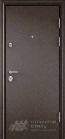 Дверь «Дверь с зеркалом №66» c отделкой Порошковое напыление